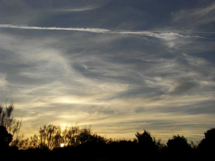 cielos1657.jpg