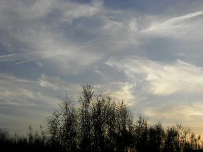 cielos1659.jpg