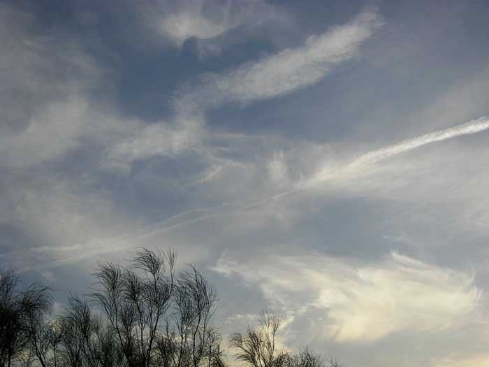cielos1660.jpg