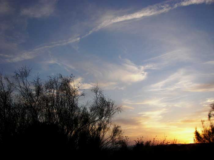 cielos1661.jpg
