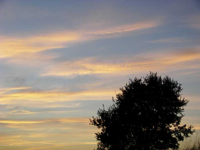 cielos1664.jpg