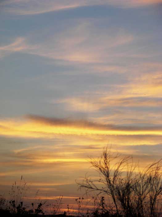 cielos1667.jpg