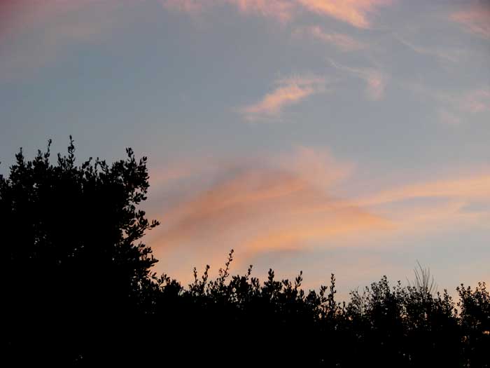 cielos1668.jpg