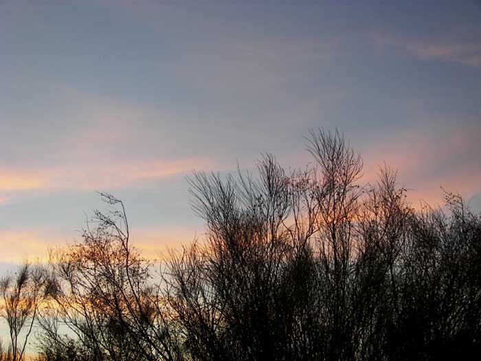 cielos1669.jpg