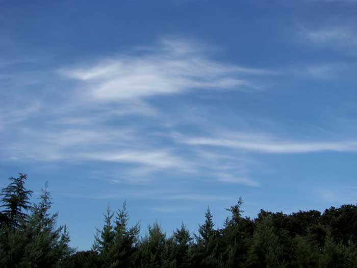 cielos1678.jpg