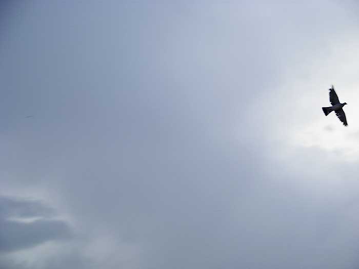 cielos1682.jpg