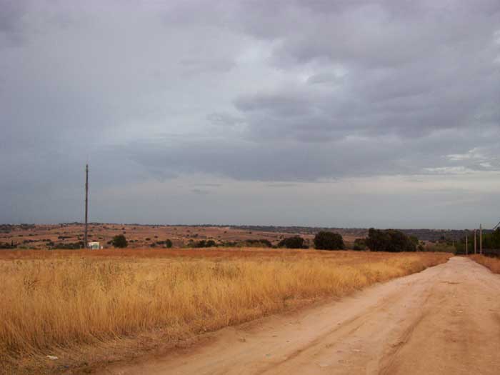 cielos1683.jpg