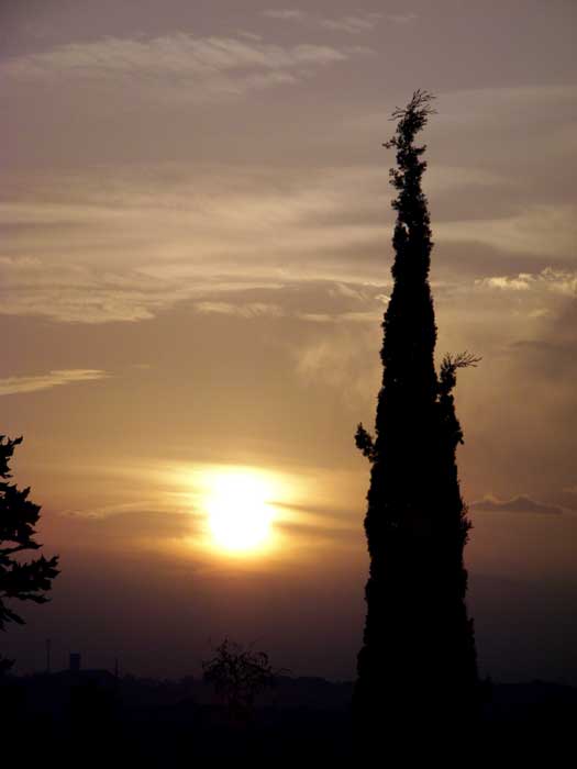 cielos1687.jpg