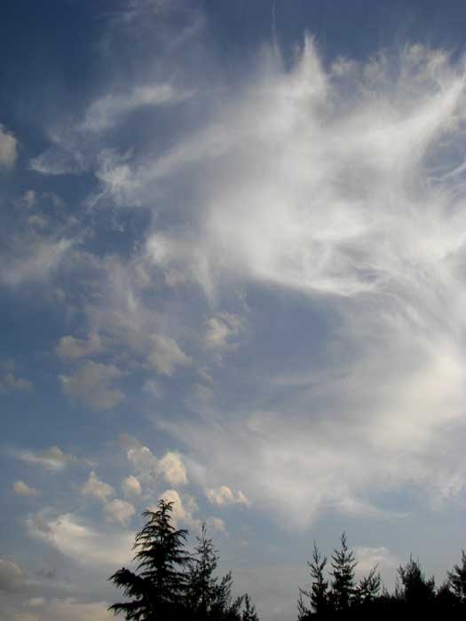 cielos1694.jpg