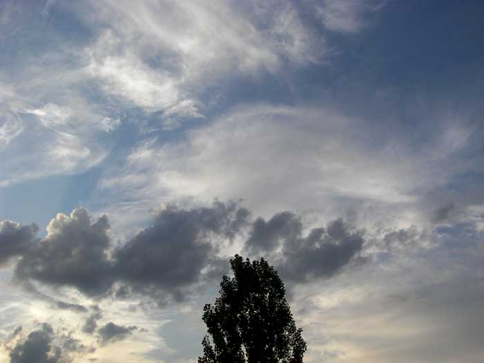 cielos1695.jpg