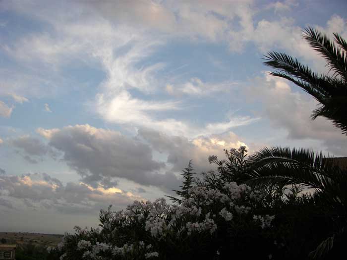 cielos1696.jpg