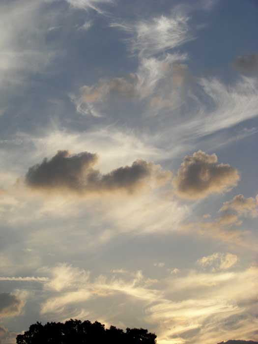 cielos1699.jpg