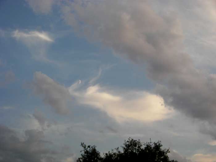 cielos1702.jpg