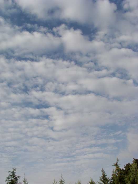cielos1710.jpg