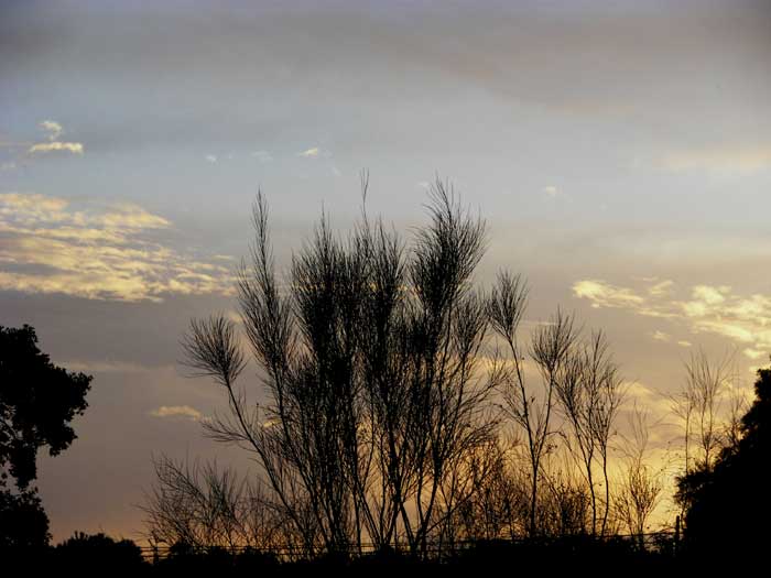 cielos1714.jpg