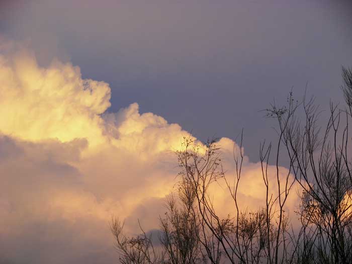 cielos1723.jpg
