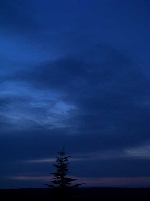 cielos1729.jpg