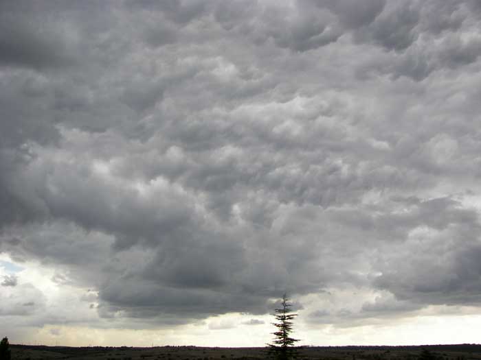 cielos1747.jpg