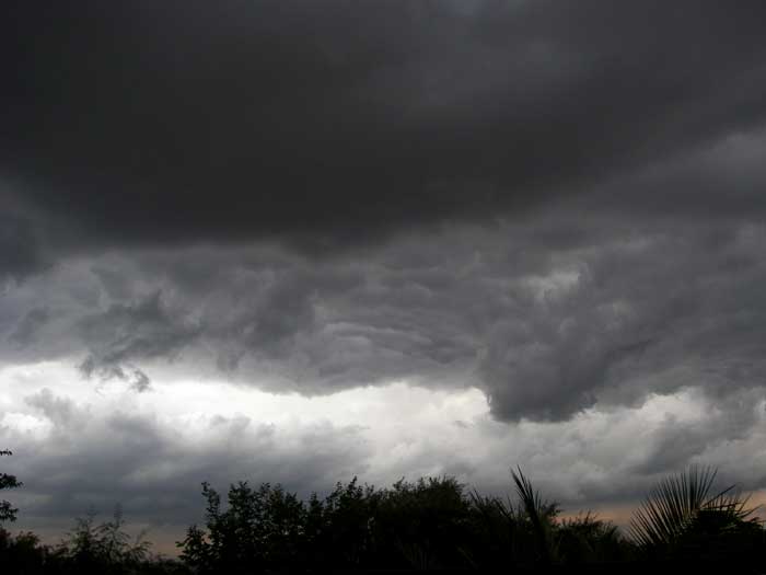 cielos1749.jpg