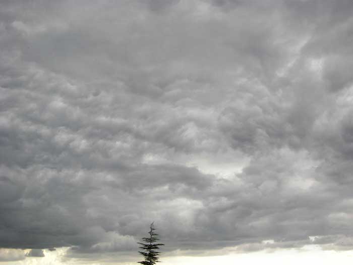 cielos1751.jpg