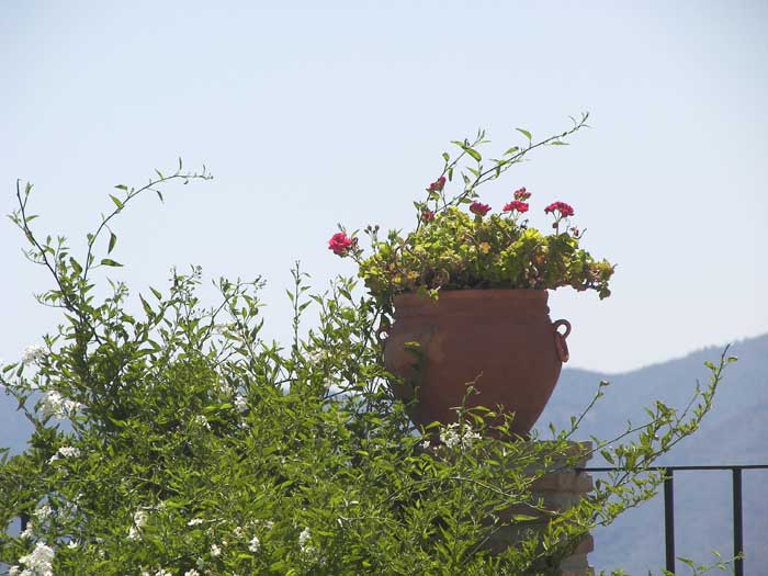 cielos1760.jpg