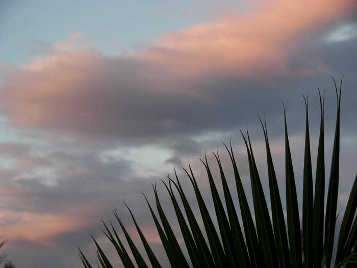 cielos1763.jpg