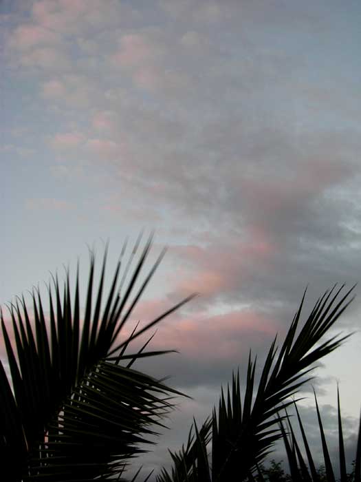 cielos1765.jpg
