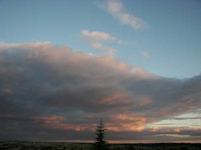 cielos1767.jpg