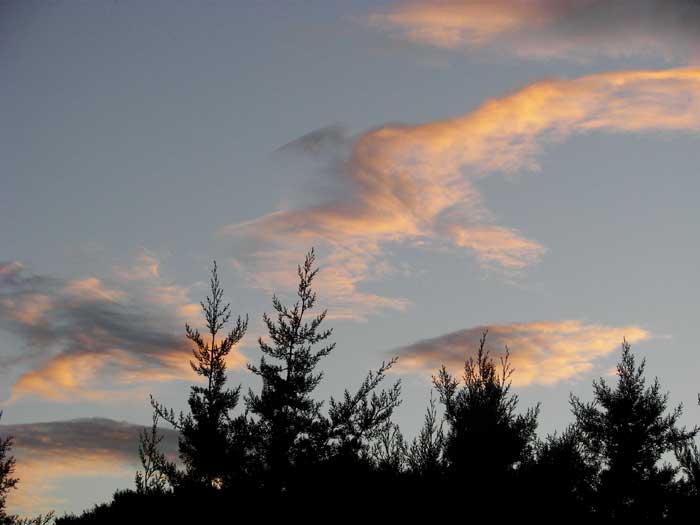 cielos1768.jpg