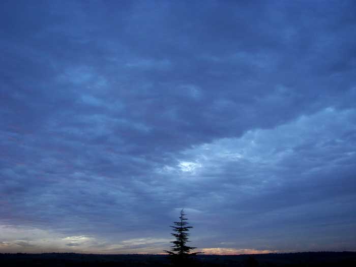 cielos1771.jpg