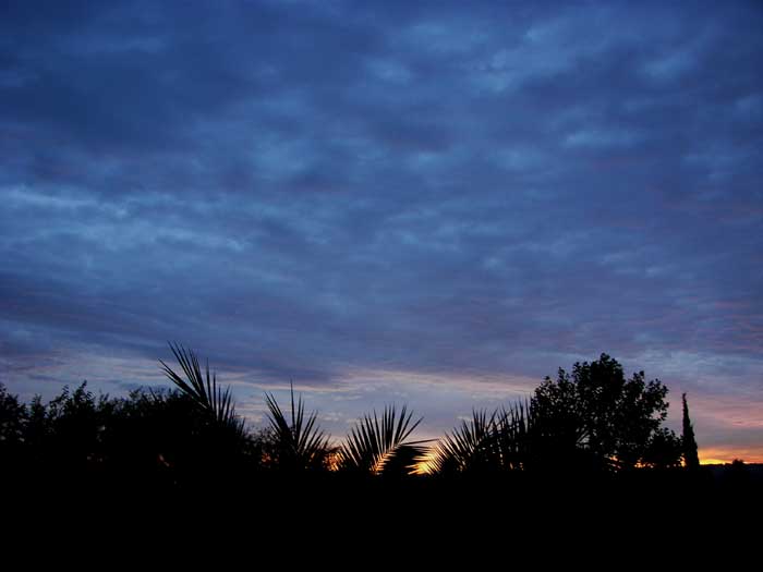 cielos1772.jpg