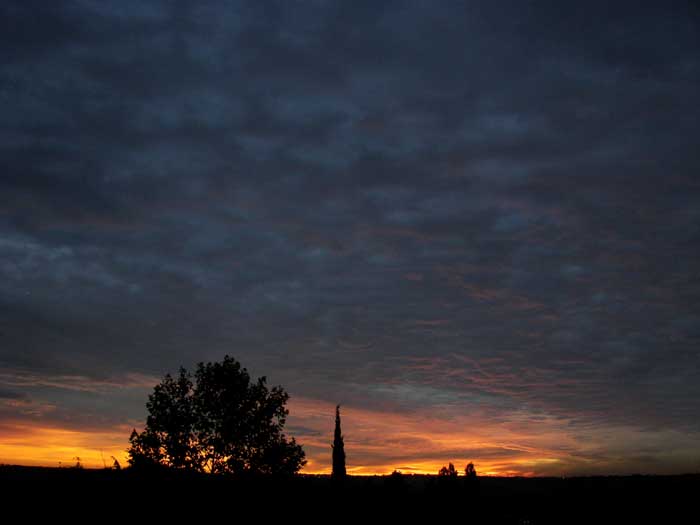 cielos1773.jpg