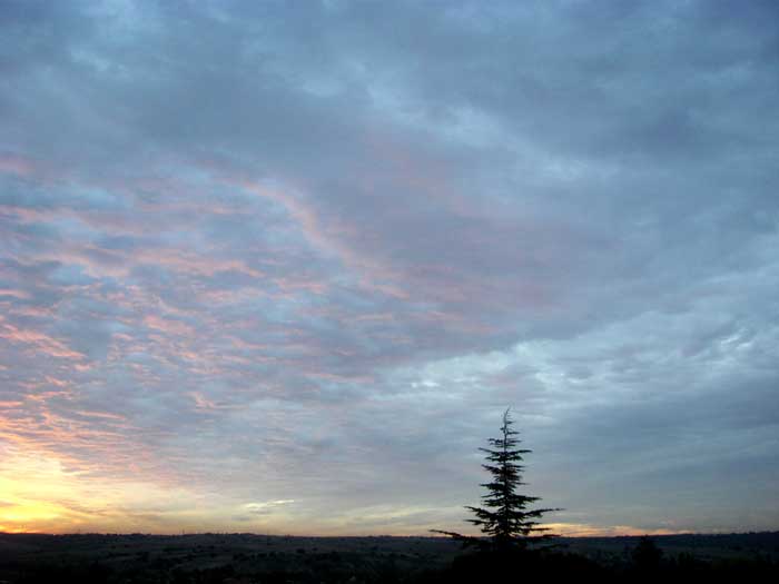 cielos1775.jpg