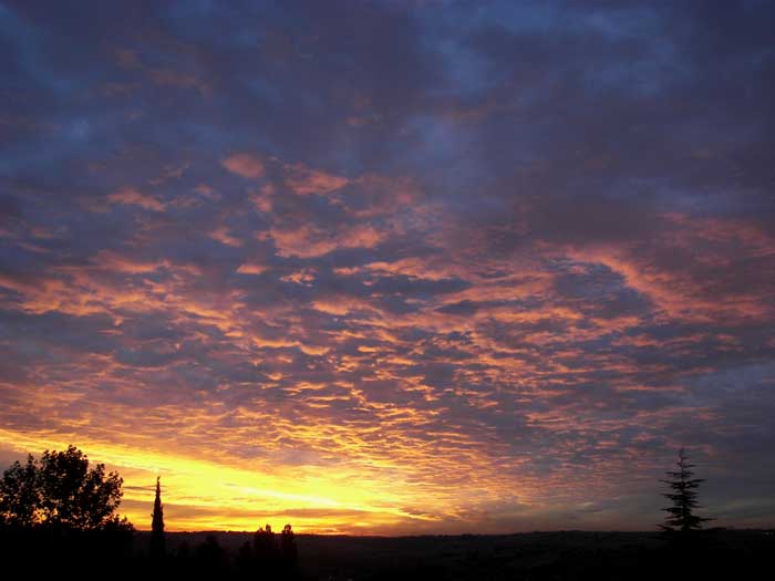 cielos1777.jpg