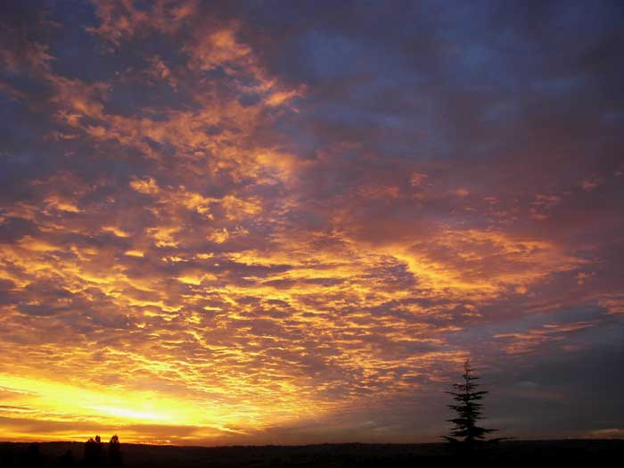 cielos1780.jpg