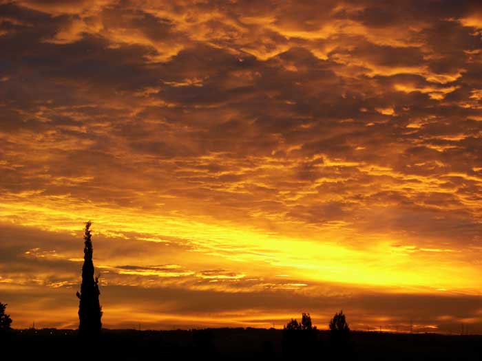 cielos1781.jpg