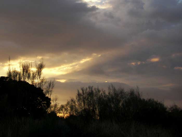 cielos1787.jpg