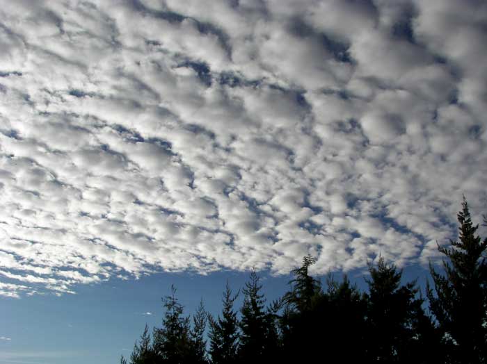 cielos1794.jpg