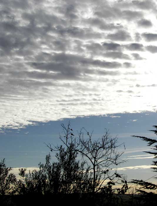 cielos1795.jpg