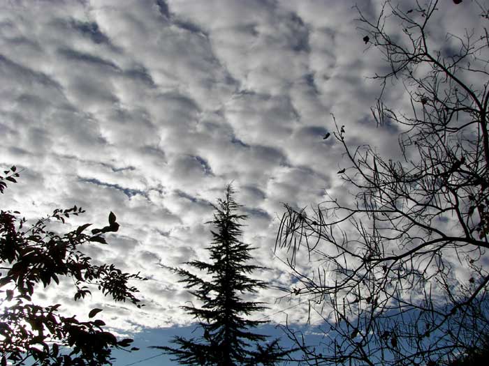 cielos1797.jpg