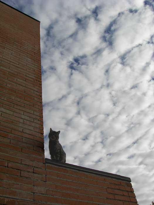 cielos1798.jpg