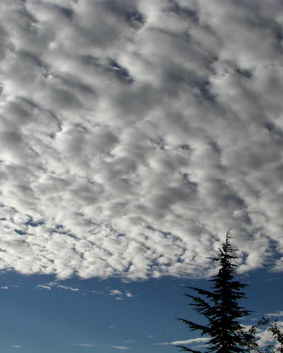 cielos1800.jpg