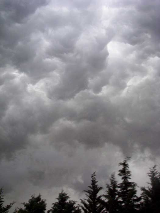 cielos1805.jpg