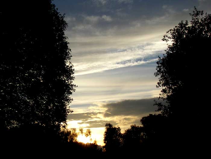 cielos1810.jpg
