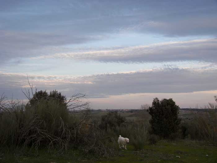 cielos1816.jpg