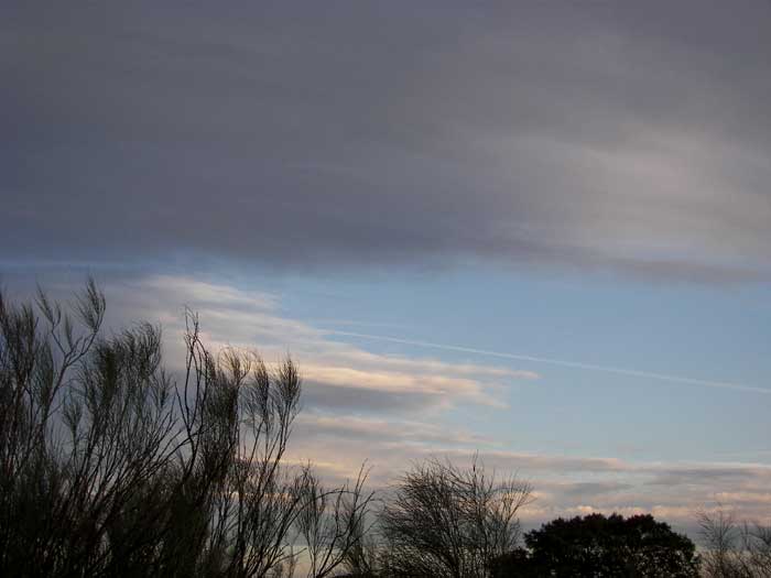 cielos1817.jpg