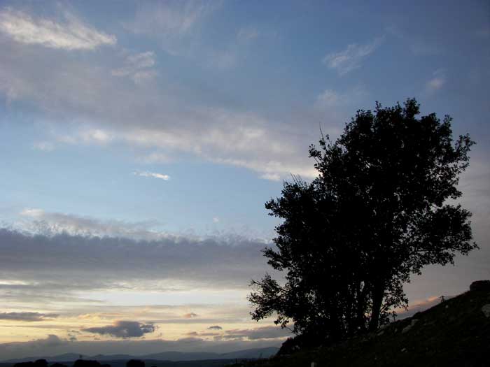 cielos1818.jpg
