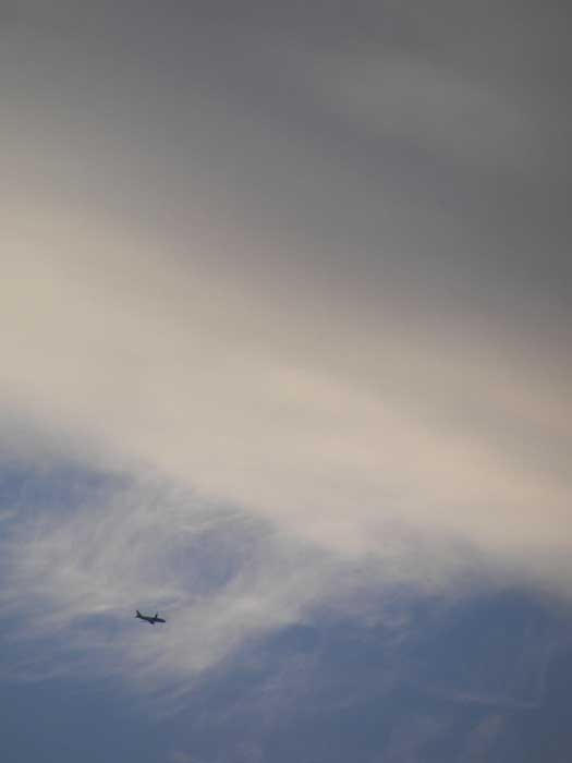cielos1819.jpg