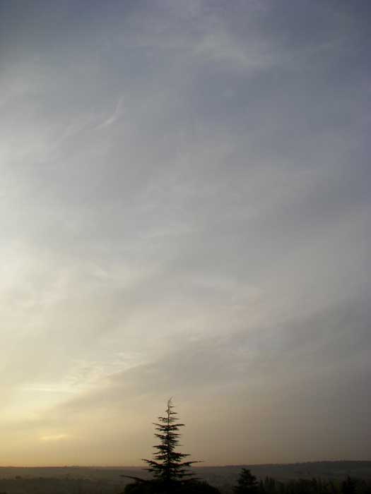 cielos1824.jpg