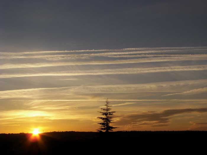 cielos1902.jpg
